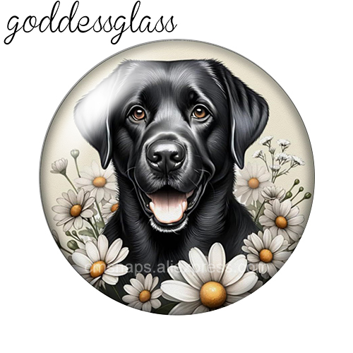 ‌ Cães Fofos entre as Flores,  - Body Jewelry Top avaliação e preço